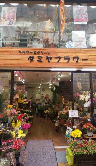 「タミヤフラワー」　（大阪府大阪市旭区）の花屋店舗写真1