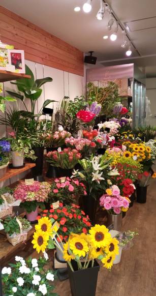 「タミヤフラワー」　（大阪府大阪市旭区）の花屋店舗写真2